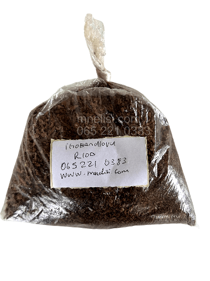 igobandlovu picture umuthi wenzani igoba ndlovu